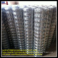 2013 look direct factory price Hot galvanized field fencing for sheep